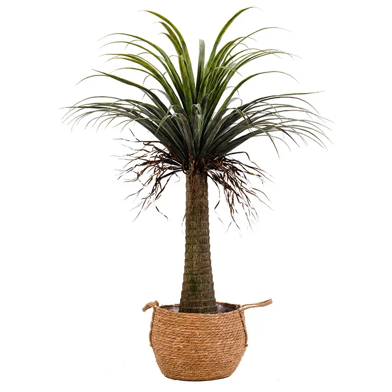 Large artificial fake tree Dracaena bonsai indoor living room landing
Large artificial fake tree Dracaena bonsai indoor living room landing