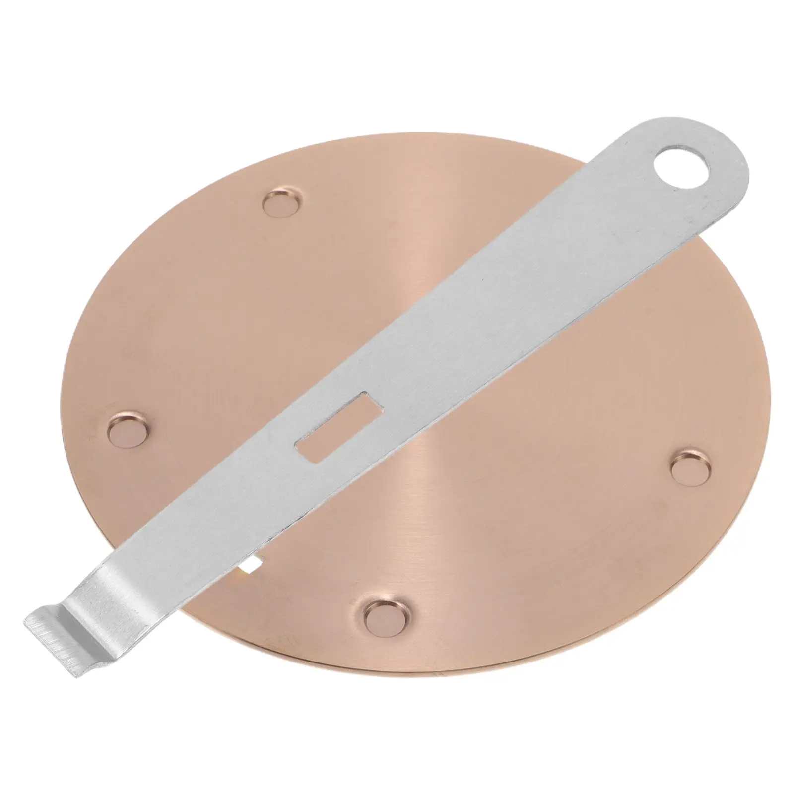 Heat Conduction Plate 16cm Rose Gold Diffuser Stainless Steel Tray Induction Cooktop Adapter Uniform Heat Distribution Versatile
Heat Conduction Plate 16cm Rose Gold Diffuser Stainless Steel Tray Induction Cooktop Adapter Uniform Heat Distribution Versatile