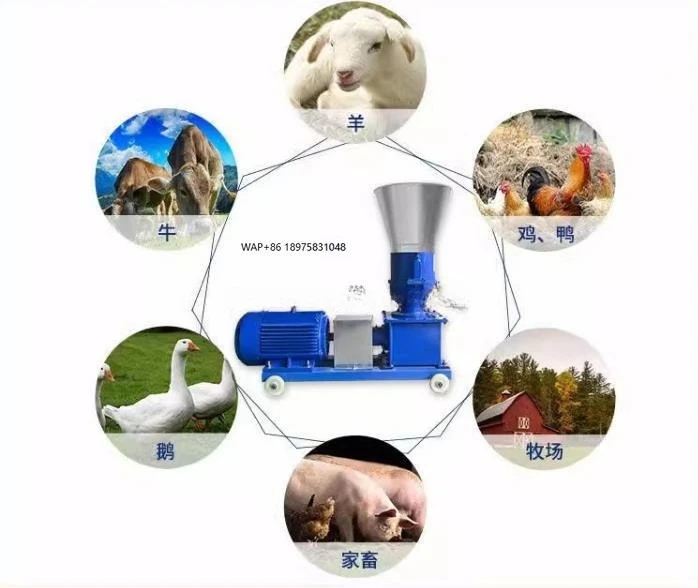 Livestock and poultry feed pellet machine granulator Cattle and sheep feed pellet production line grinder
Livestock and poultry feed pellet machine granulator Cattle and sheep feed pellet production line grinder