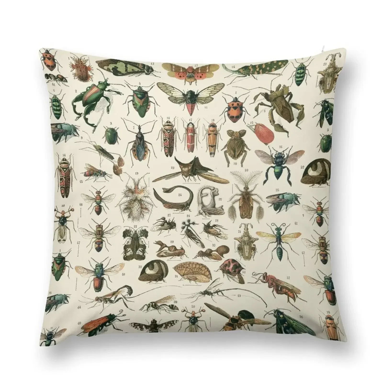 Insects 2 Throw Pillow Decorative Cushions For Living Room Sofa Decorative Covers Christmas Covers For Cushions pillow
Insects 2 Throw Pillow Decorative Cushions For Living Room Sofa Decorative Covers Christmas Covers For Cushions pillow