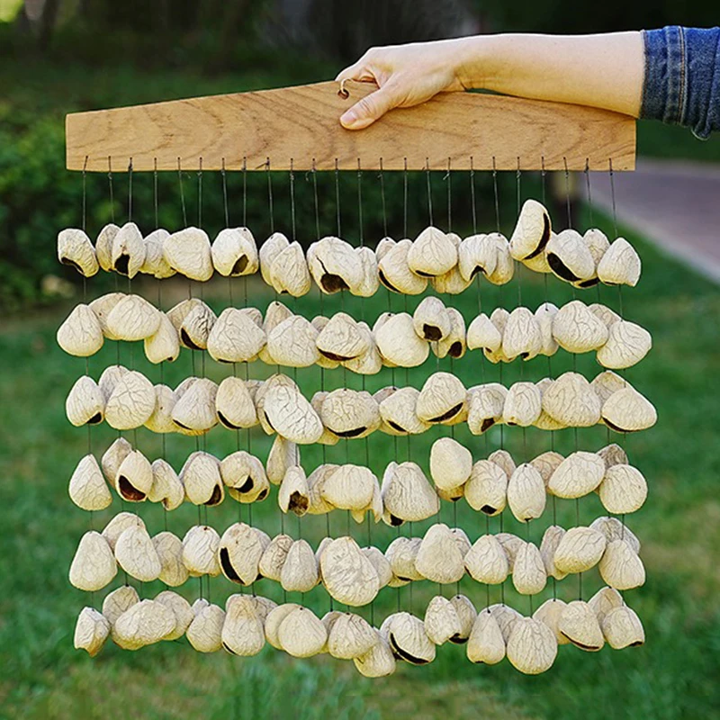 Natural Fruit Shell Sound Beam Sound Healing Yoga Meditation Seed Shell Plant Fruit Wind Chimes Outdoor Percussion Instruments 
Natural Fruit Shell Sound Beam Sound Healing Yoga Meditation Seed Shell Plant Fruit Wind Chimes Outdoor Percussion Instruments