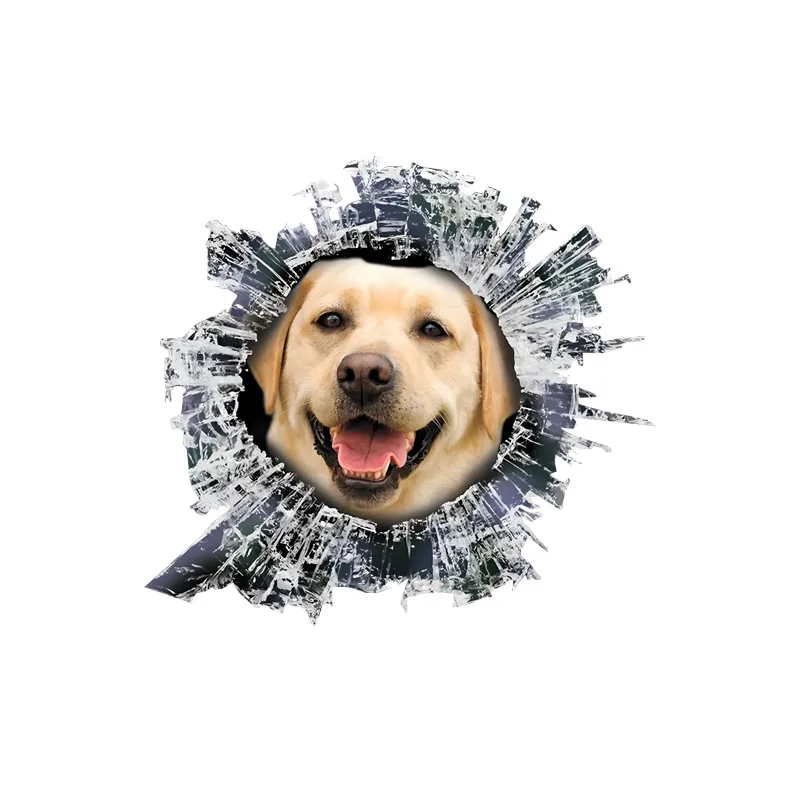DK562# Labrador Car Stickers Scratch Blocking Self-Adhesive Waterproof Decal, Used for Car, Laptop, Motorcycle, Van, RV
DK562# Labrador Car Stickers Scratch Blocking Self-Adhesive Waterproof Decal, Used for Car, Laptop, Motorcycle, Van, RV