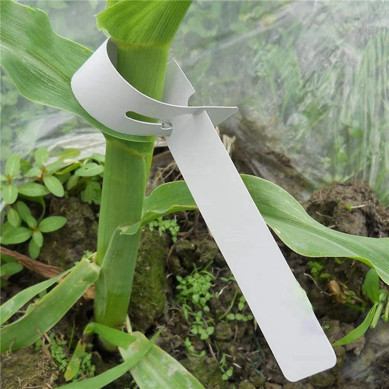 ABFS 1200 Pcs Plastic Plant Labels Wrap Around Tree Tags, Adjustable Nursery Garden Labels With Large Writing Surface, White
ABFS 1200 Pcs Plastic Plant Labels Wrap Around Tree Tags, Adjustable Nursery Garden Labels With Large Writing Surface, White