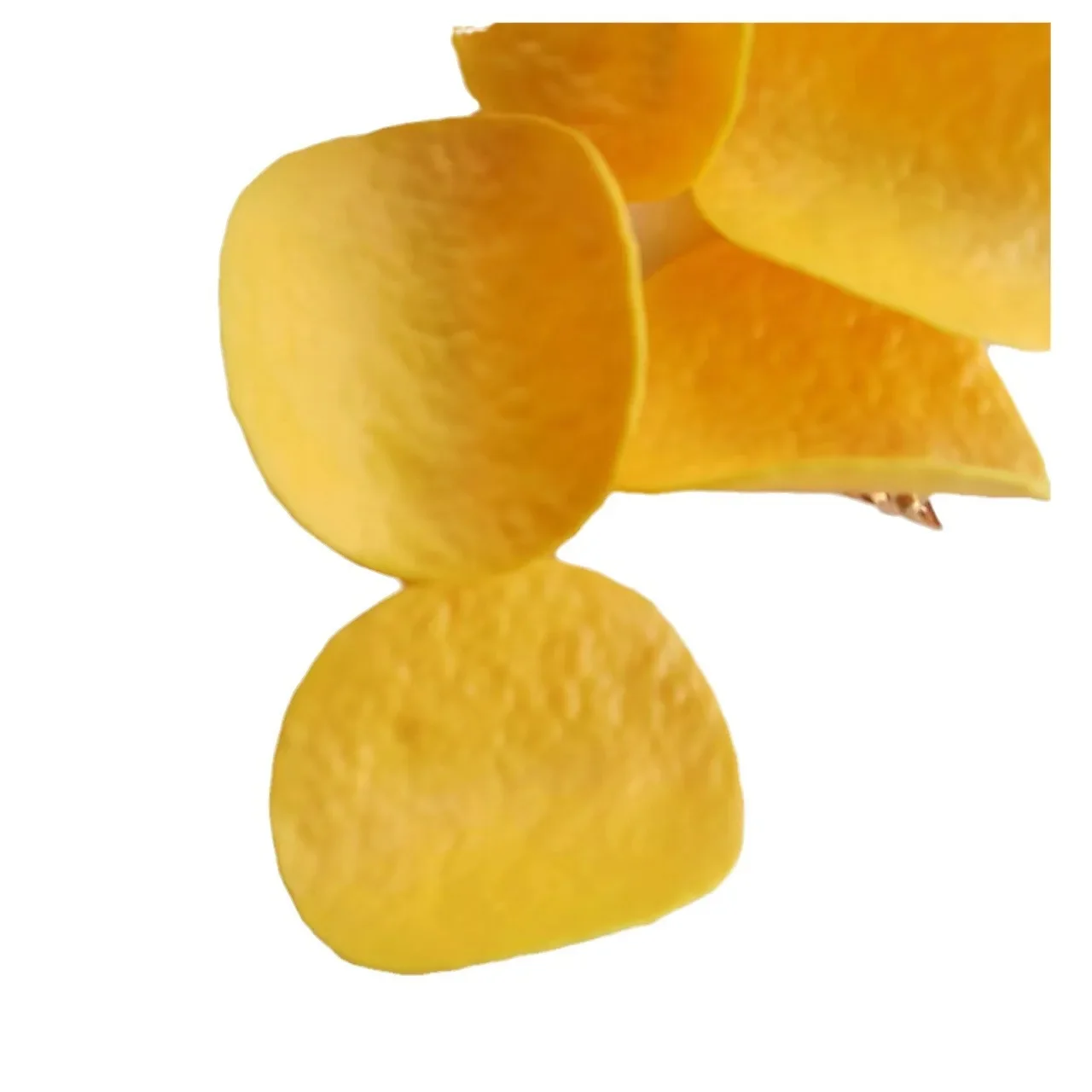 5PC Funny Simulated Potato Chip Hairpin Hair Clips For Girls Hair Cute Creative And Funny Hair Accessories For Students
5PC Funny Simulated Potato Chip Hairpin Hair Clips For Girls Hair Cute Creative And Funny Hair Accessories For Students