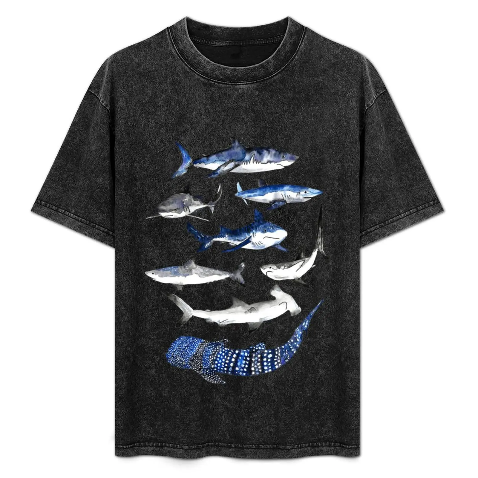 Sharks Watercolor Chart T-Shirt Daily Wear Print T-Shirt
Sharks Watercolor Chart T-Shirt Daily Wear Print T-Shirt