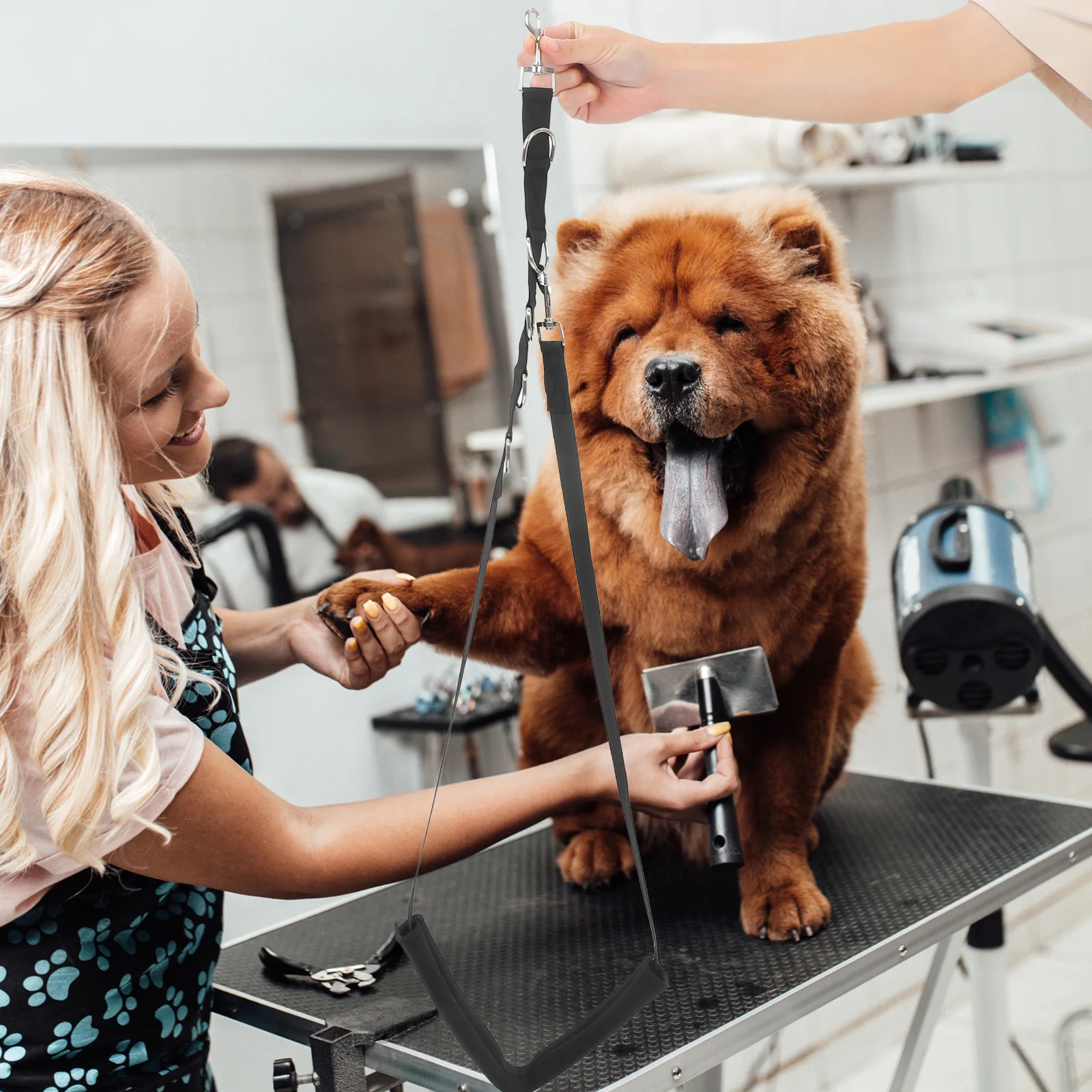 1 set Kit Dog Sling For For Dogs Adjustable Loops Belly Strap Leash Extension Grooming Table Arm Dog Grooming Supplies
1 set Kit Dog Sling For For Dogs Adjustable Loops Belly Strap Leash Extension Grooming Table Arm Dog Grooming Supplies