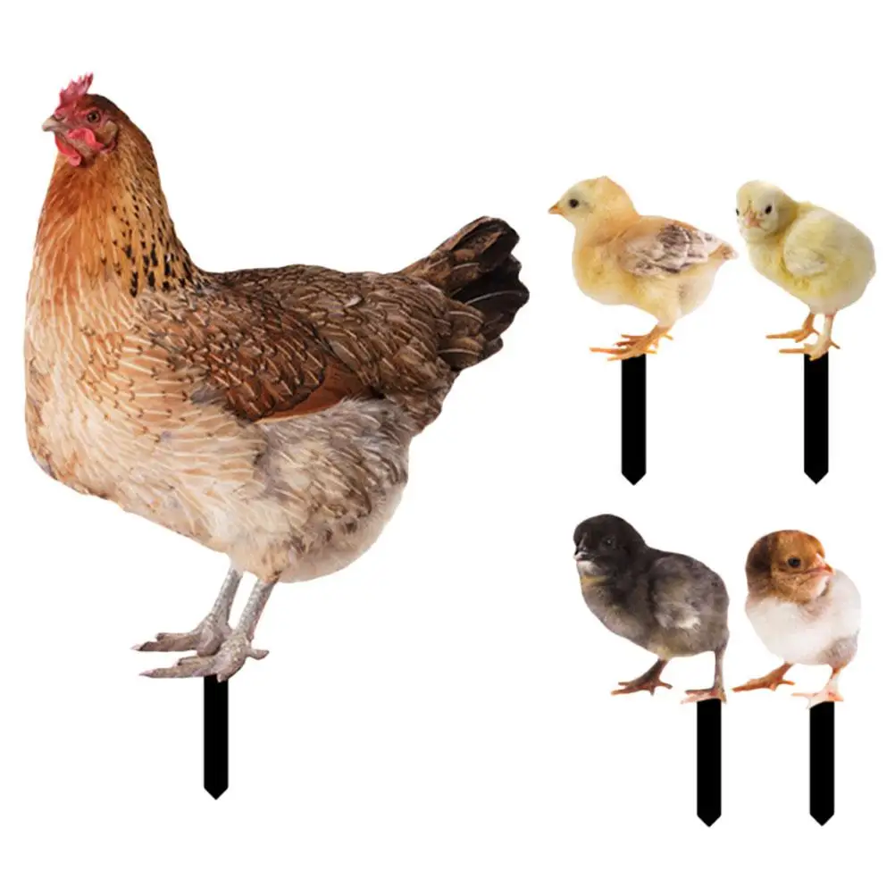 5 Pcs Chicken Stake Decorations Acrylic Material Garden Decor Yard Ornaments Double Sided Pattern Outdoor Adornment
5 Pcs Chicken Stake Decorations Acrylic Material Garden Decor Yard Ornaments Double Sided Pattern Outdoor Adornment