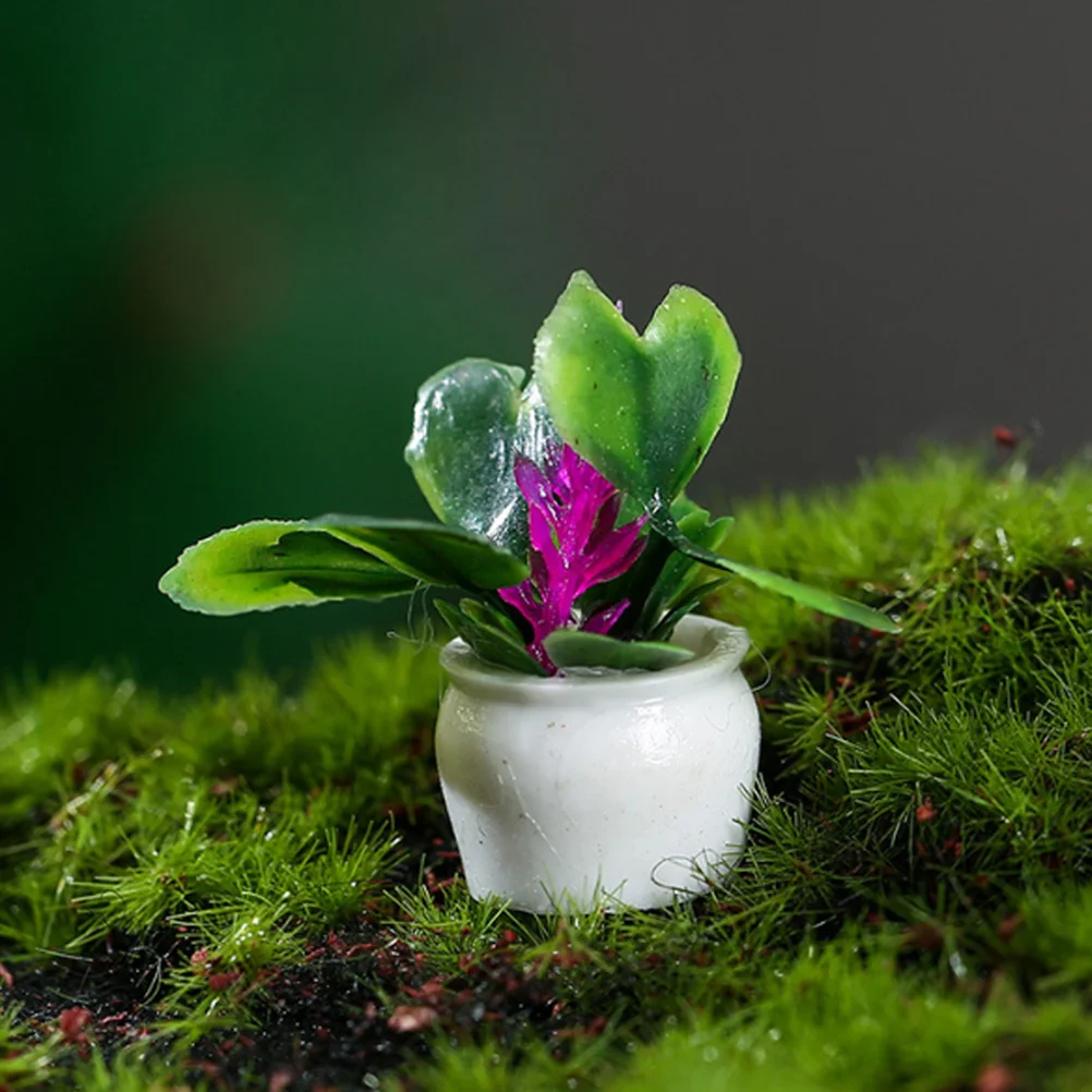 8 Pcs House Mini Plant Model Bonsai Garden Decor Potted Decorations Supplies Green
8 Pcs House Mini Plant Model Bonsai Garden Decor Potted Decorations Supplies Green
