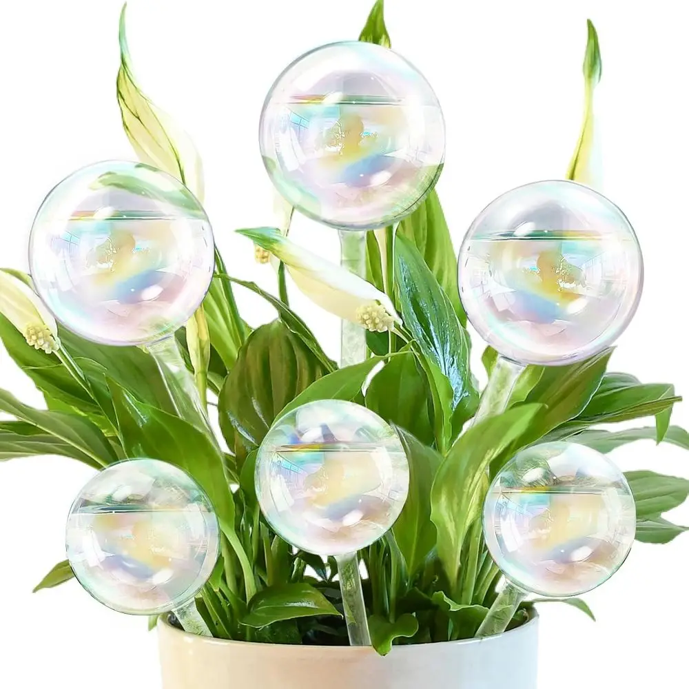6Pcs Plant Watering Globes, Iridescent Rainbow Glass Sel Watering Planter Insert, Clear Watering Bulbs for Indoor, Outdoor, Lowe
6Pcs Plant Watering Globes, Iridescent Rainbow Glass Sel Watering Planter Insert, Clear Watering Bulbs for Indoor, Outdoor, Lowe