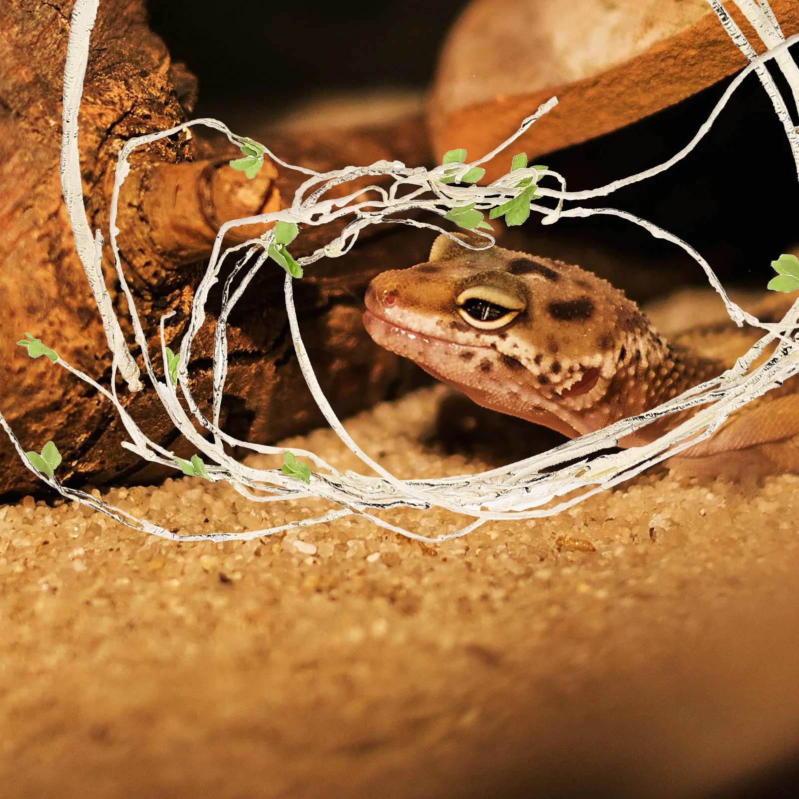 Artificial Vine Decor for Reptile Terrarium High Simulation Fake Climbing Plant Landscape Ornament Reptile Tank Accessory
Artificial Vine Decor for Reptile Terrarium High Simulation Fake Climbing Plant Landscape Ornament Reptile Tank Accessory