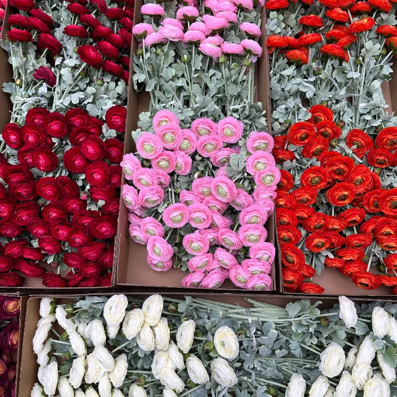 Plucked 2 Head Thousand Layer Lotus Simulation Flower Wedding Home Party Fake Flower Vase Decoration Silk Flower Wholesale
Plucked 2 Head Thousand Layer Lotus Simulation Flower Wedding Home Party Fake Flower Vase Decoration Silk Flower Wholesale