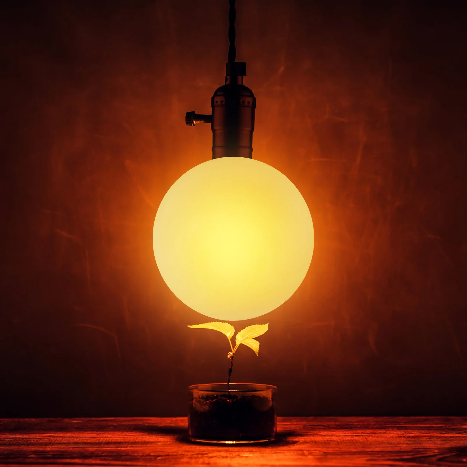 150Mm Globe Lampshade Replacement Acrylic Wall Lamp Cover Post Light Shade Durable Decorative Porch Ceiling Light Cover Street
150Mm Globe Lampshade Replacement Acrylic Wall Lamp Cover Post Light Shade Durable Decorative Porch Ceiling Light Cover Street