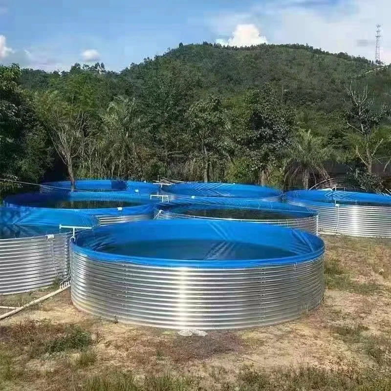 Recirculating Aquaculture System Galvanized Steel Panel Supporting Fish Pond Aquaculture Fish Farming Feeding Pond
Recirculating Aquaculture System Galvanized Steel Panel Supporting Fish Pond Aquaculture Fish Farming Feeding Pond