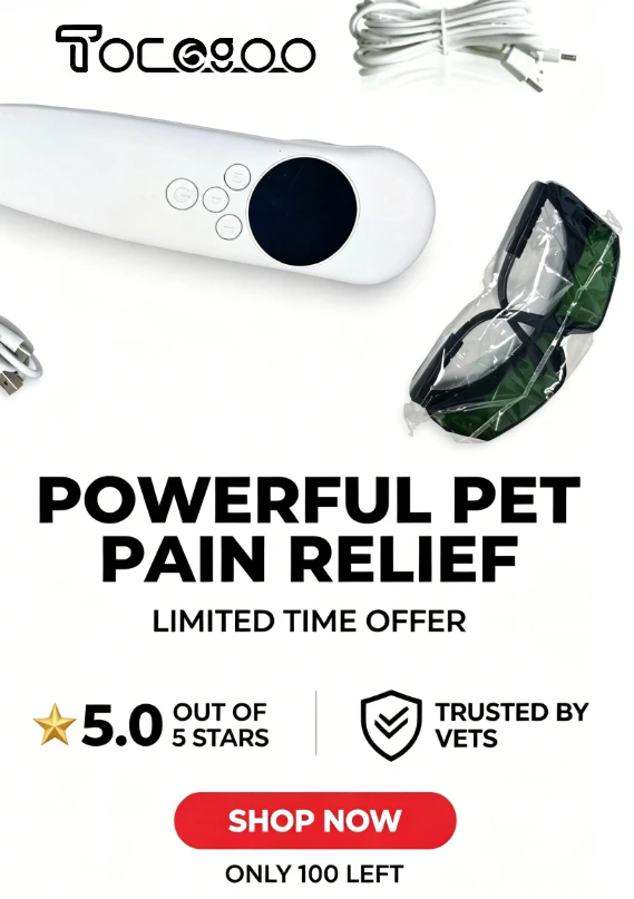 Portable Infrared Red Light Beauty Pen Facial Skin Anti-Aging Rejuvenate Body Joint Soreness Relieve Muscle Fatigue Home
Portable Infrared Red Light Beauty Pen Facial Skin Anti-Aging Rejuvenate Body Joint Soreness Relieve Muscle Fatigue Home