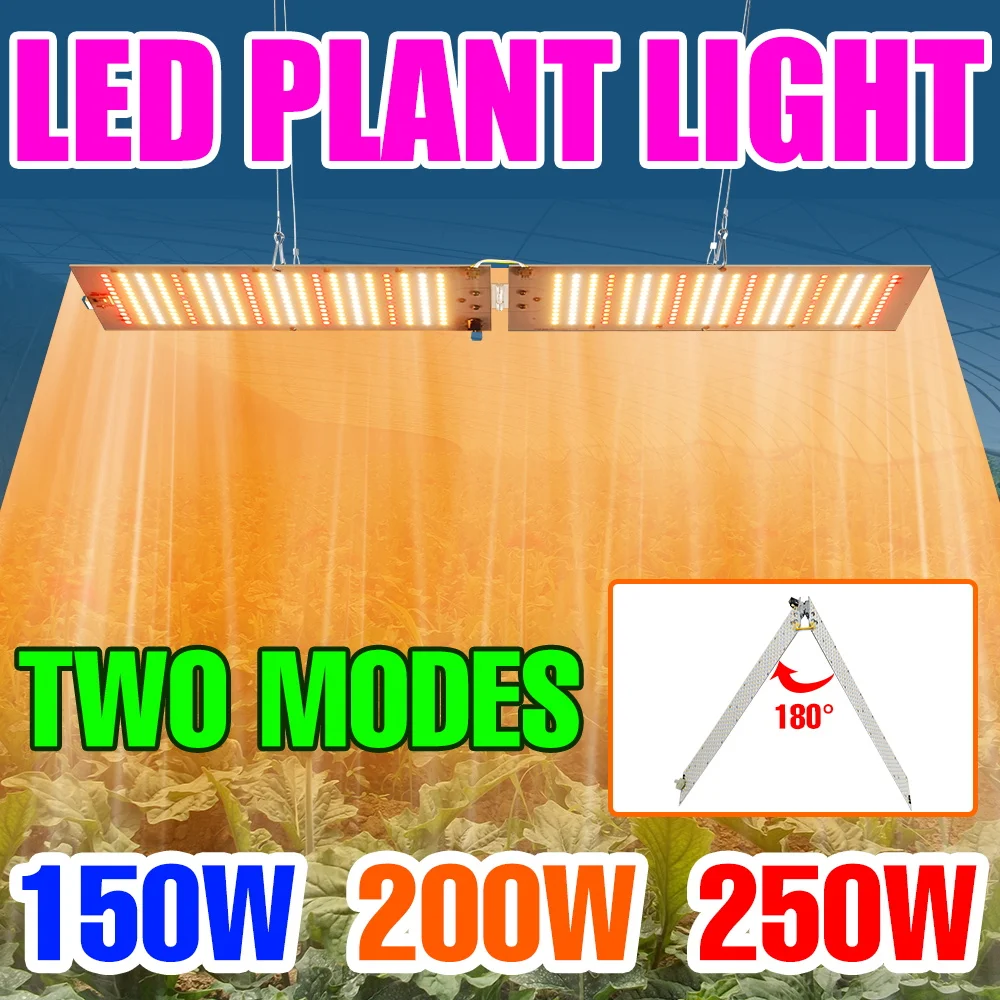 250W Full Spectrum Plant Grow Lights LED Quantum Board Hydroponics Fill Lamp Greenhouse Tent Vegetables Cactu Flowers Lighting
250W Full Spectrum Plant Grow Lights LED Quantum Board Hydroponics Fill Lamp Greenhouse Tent Vegetables Cactu Flowers Lighting