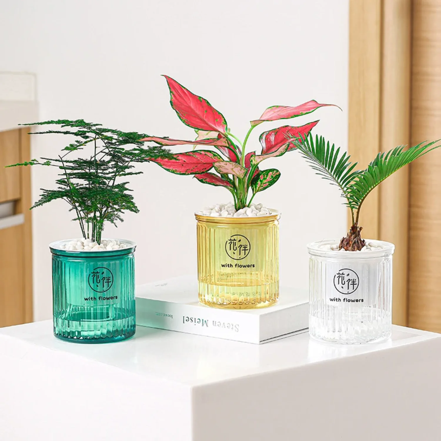 Lazy Self-Watering Flowerpot Automatic Water Absorption Succulent Aquaculture Transparent Round Plastic Hydroponic Flower Pot
Lazy Self-Watering Flowerpot Automatic Water Absorption Succulent Aquaculture Transparent Round Plastic Hydroponic Flower Pot