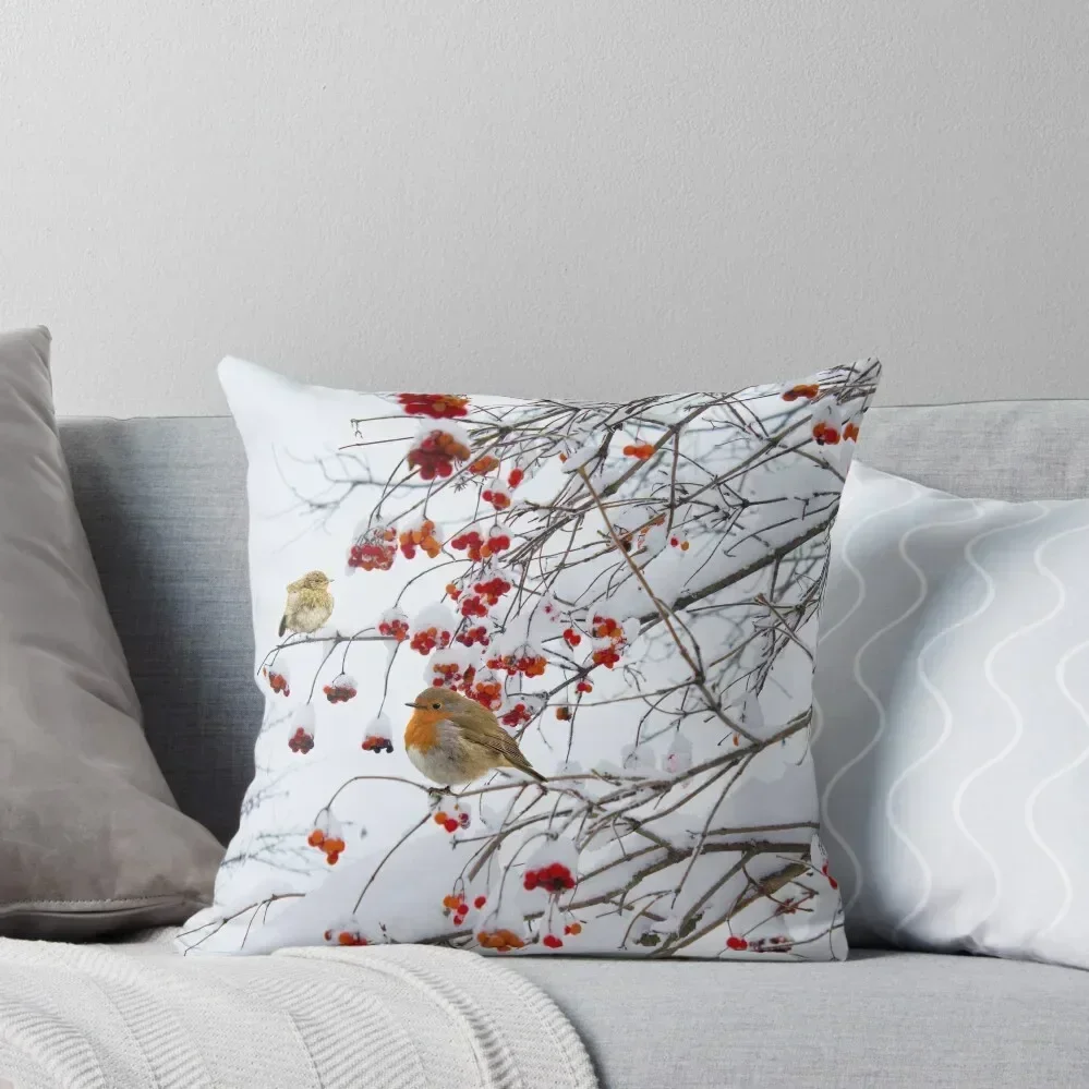 Red breast Robin family in Winter Throw Pillow Embroidered Cushion Cover Pillowcase pillow
Red breast Robin family in Winter Throw Pillow Embroidered Cushion Cover Pillowcase pillow