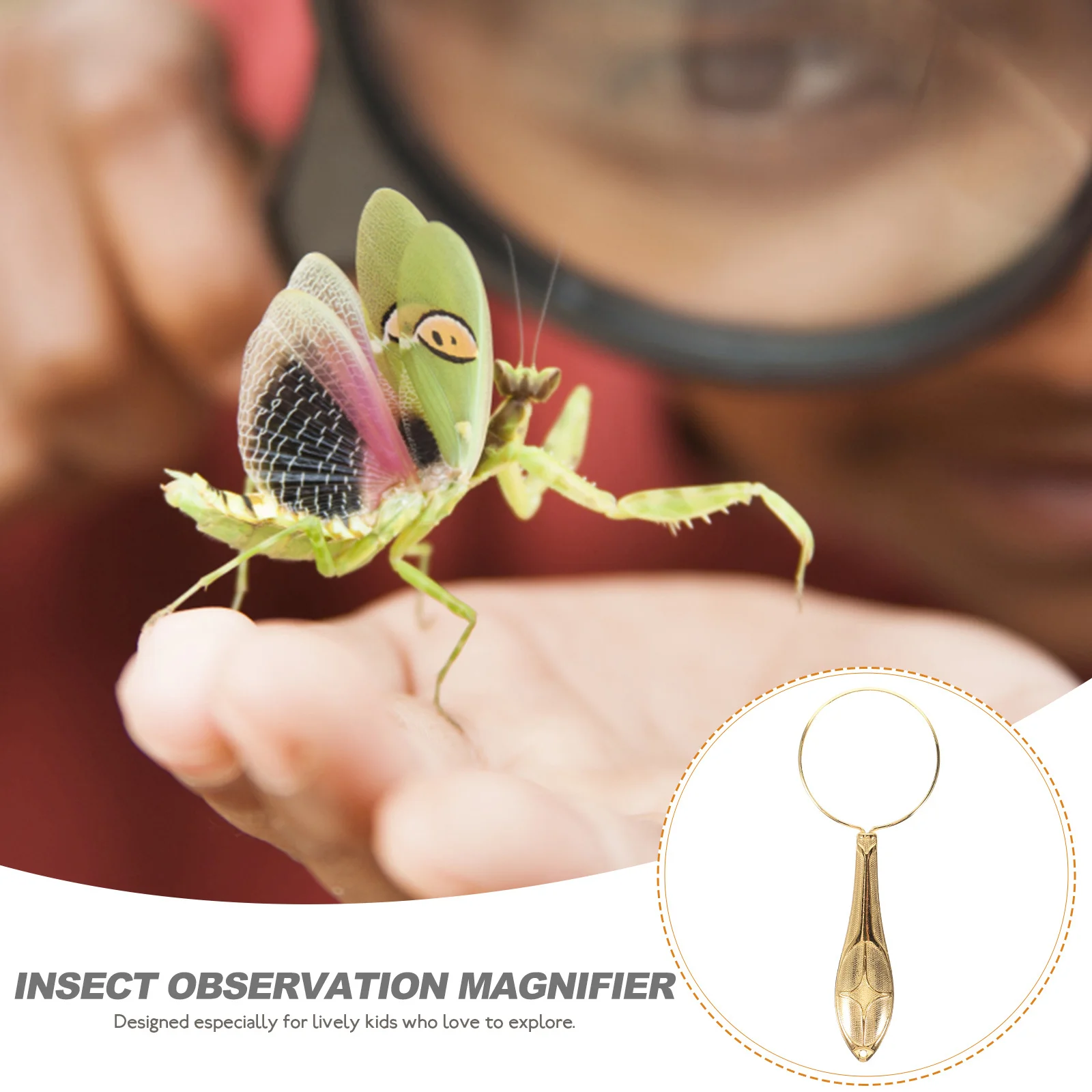 Magnifying Glass Portable Science Explore Magnifier Outdoor Observation Tool for Learning Exploration 
Magnifying Glass Portable Science Explore Magnifier Outdoor Observation Tool for Learning Exploration