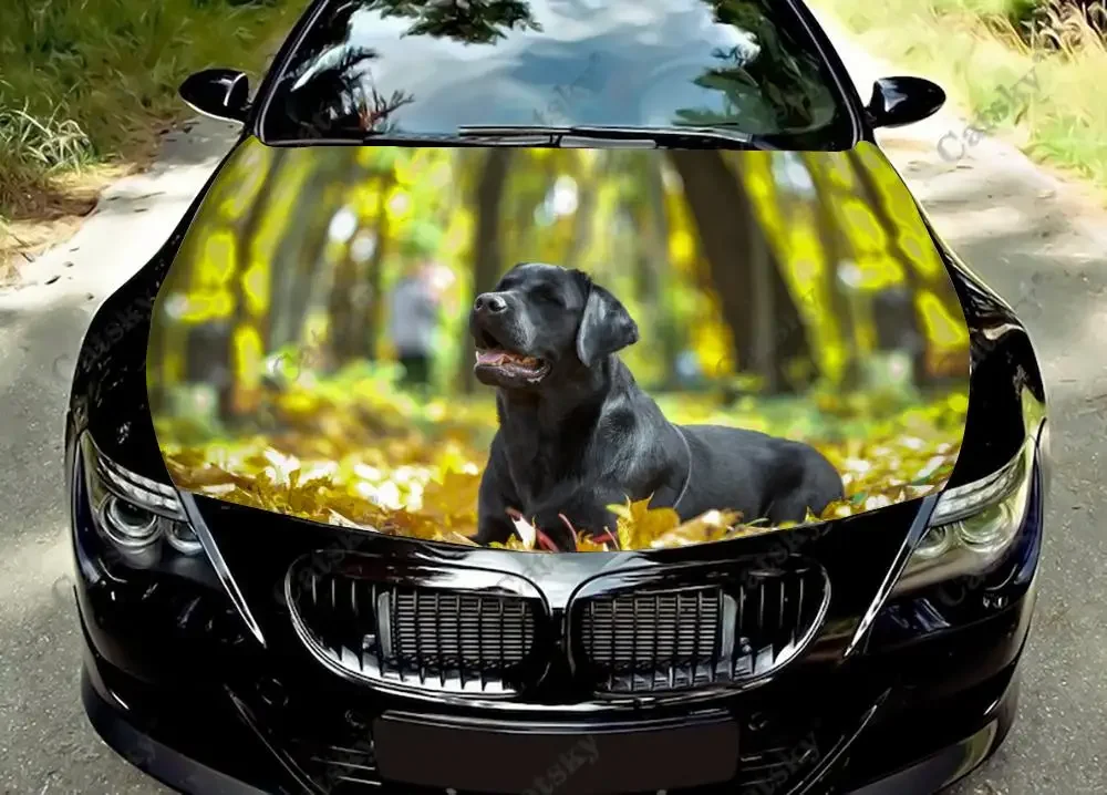 Labrador dog animal Car hood decal vinyl sticker graphic wrap decal graphics painting self adhesive for most vehicles custom
Labrador dog animal Car hood decal vinyl sticker graphic wrap decal graphics painting self adhesive for most vehicles custom