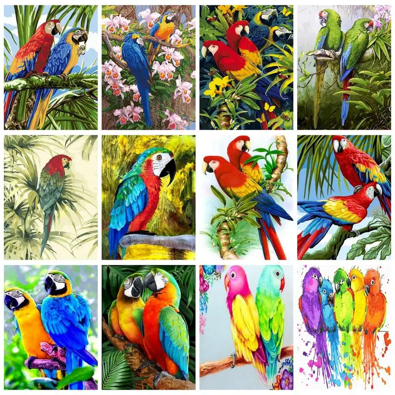 RUOPOTY Acrylic Painting By Numbers Parrots Coloring On Numbers For Adults Diy Gift Home Decors Paint Kit For Handiwork Animal
RUOPOTY Acrylic Painting By Numbers Parrots Coloring On Numbers For Adults Diy Gift Home Decors Paint Kit For Handiwork Animal