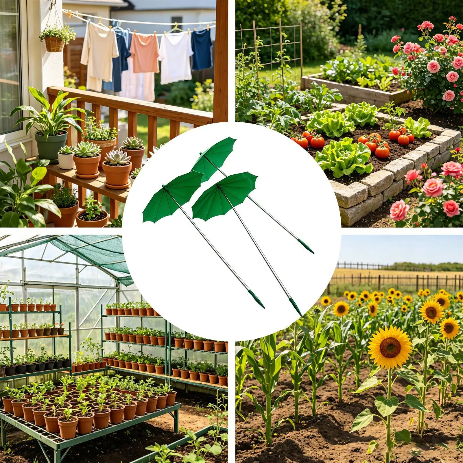 Umbrella For Plants 3 Piece Retractable Sun Rain Canopy Umbrella Shade For Potted Plants For Garden Balcony Seedlings Flower
Umbrella For Plants 3 Piece Retractable Sun Rain Canopy Umbrella Shade For Potted Plants For Garden Balcony Seedlings Flower