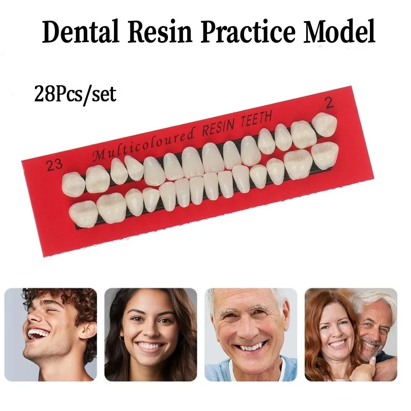 28Pcs Dental Acrylic Resin Denture Upper Lower Shade Dental Oral Teaching Materials
28Pcs Dental Acrylic Resin Denture Upper Lower Shade Dental Oral Teaching Materials