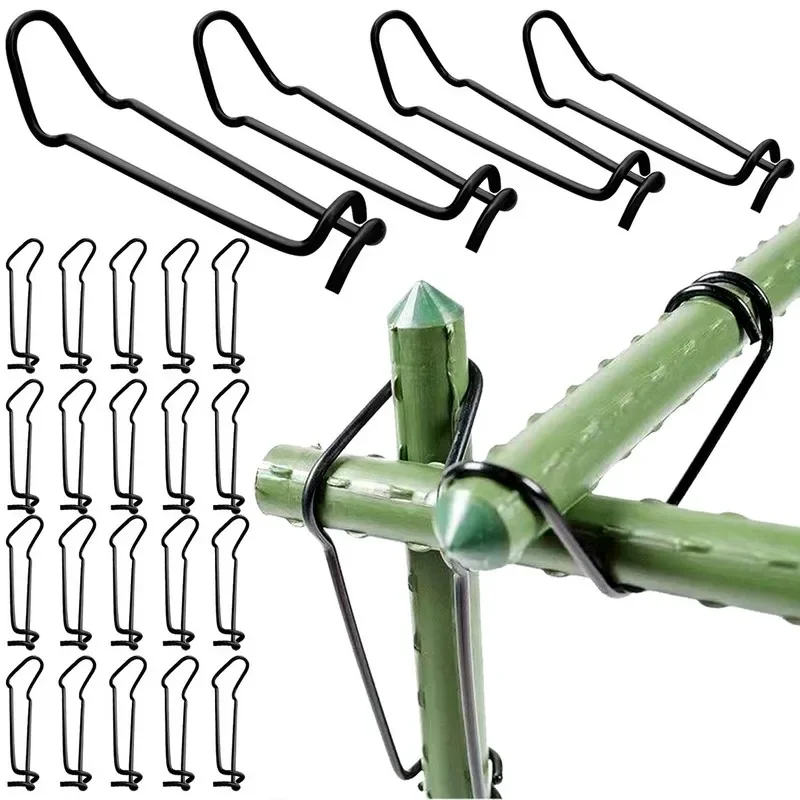 Garden Trellis Clips Metal Plant Vine Stakes Connectors Climbing Frame Buckles Tomato Cucumber Eggplant Vegetable Support
Garden Trellis Clips Metal Plant Vine Stakes Connectors Climbing Frame Buckles Tomato Cucumber Eggplant Vegetable Support