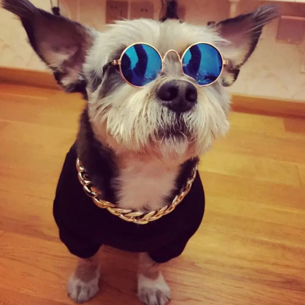 3 Pcs Pet Glasses Accessories High Quality Dog Lens: Resin Sunglasses for Cats Puppy Eyeglasses
3 Pcs Pet Glasses Accessories High Quality Dog Lens: Resin Sunglasses for Cats Puppy Eyeglasses