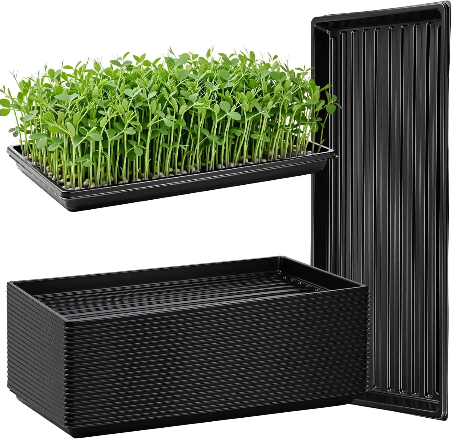 20 Pack 1020 Seed Starting Tray Heavy Duty Plant Growing Flat Seedling for 72/128 Cell Plug Plant Nursery Tray No Hole G
20 Pack 1020 Seed Starting Tray Heavy Duty Plant Growing Flat Seedling for 72/128 Cell Plug Plant Nursery Tray No Hole G