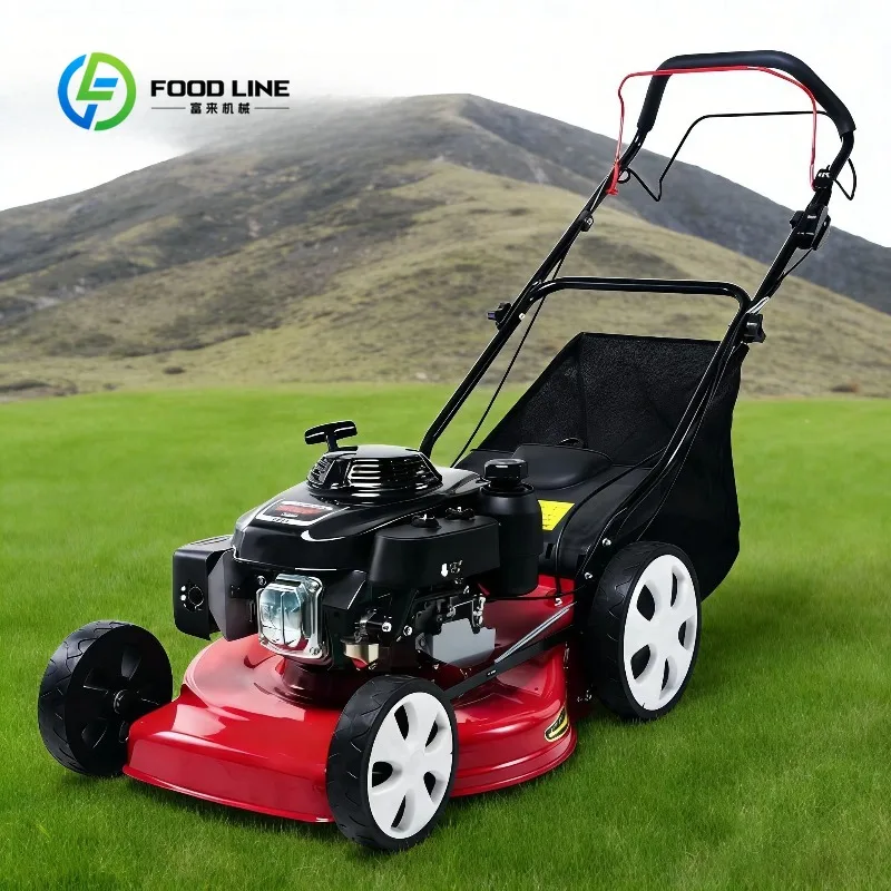 Agricultural Petrol Roller Lawn Mower Automatic Self Moving Grass Cutter 4 Stroke Hand Push Cutting Machine for Grass Customized
Agricultural Petrol Roller Lawn Mower Automatic Self Moving Grass Cutter 4 Stroke Hand Push Cutting Machine for Grass Customized