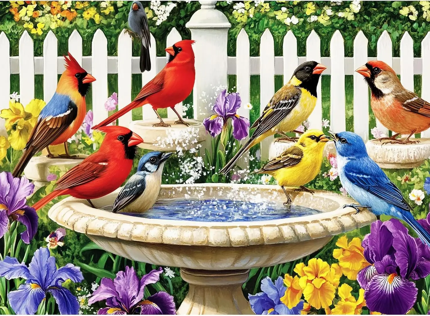 500 Piece Jigsaw Puzzle for Adults, Birds Bath Flower Garden Scene, Recycled Cardboard, 20.5x15 Inch
500 Piece Jigsaw Puzzle for Adults, Birds Bath Flower Garden Scene, Recycled Cardboard, 20.5x15 Inch