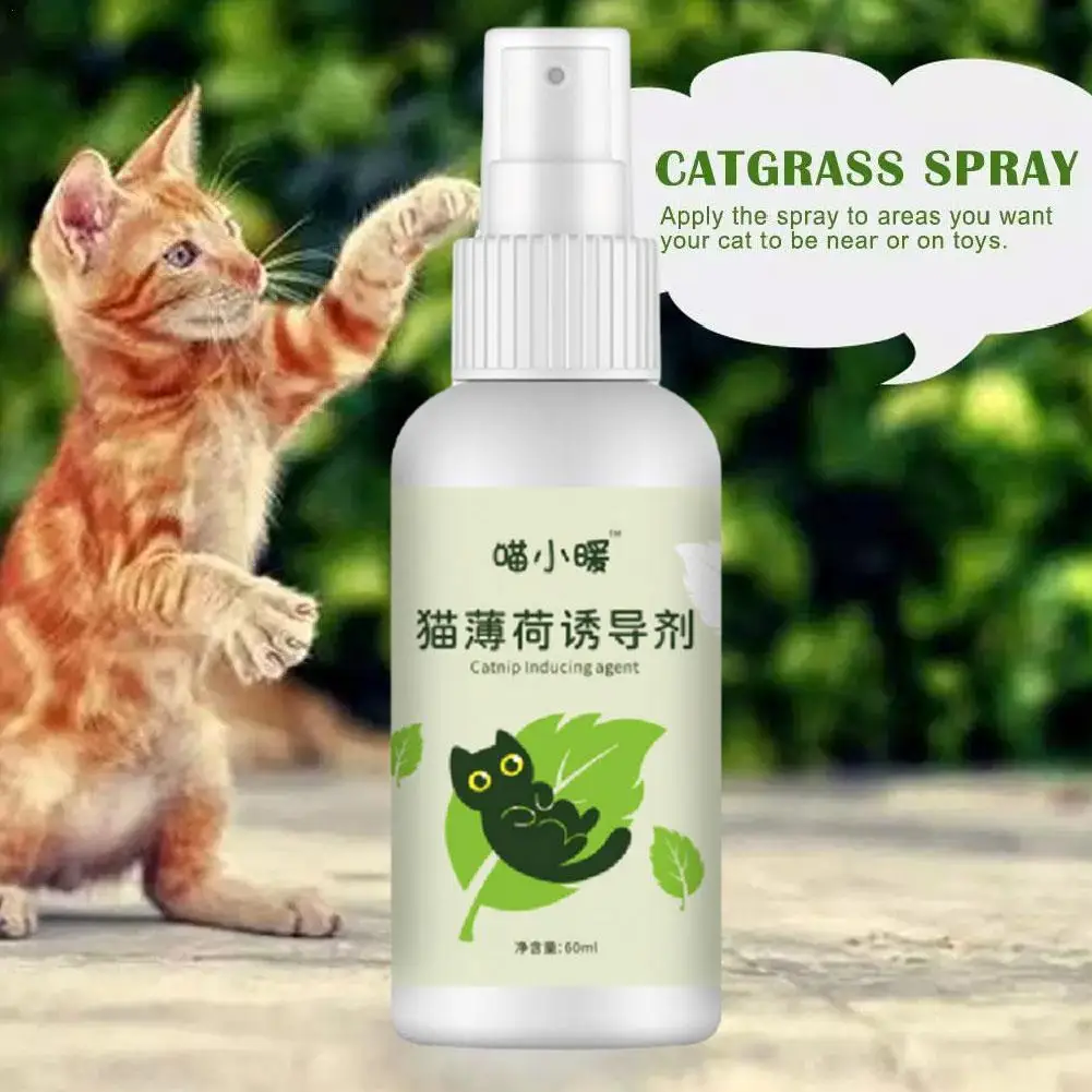 60ml Natural Healthy Cat Catnip Spray Safe Long-term Effect Inducer Pet Training Spray Soothe Mood Scratching Pad Pet Supplies
60ml Natural Healthy Cat Catnip Spray Safe Long-term Effect Inducer Pet Training Spray Soothe Mood Scratching Pad Pet Supplies