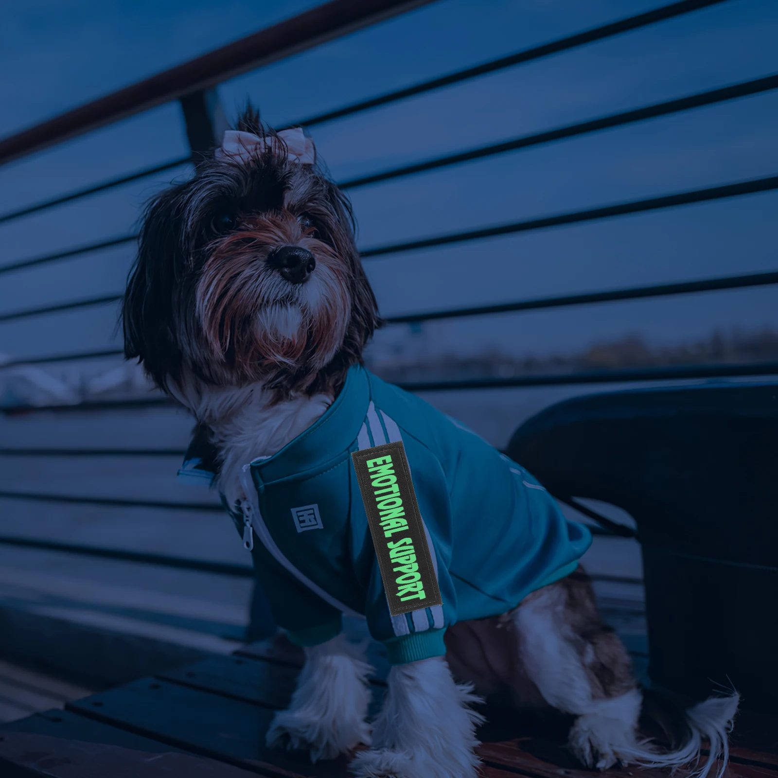 1 Pair Pet Harness Patches Cute Reflective Service Dog Vest Tags Removable Collar Accessories Stylish Design Wear Resistant
1 Pair Pet Harness Patches Cute Reflective Service Dog Vest Tags Removable Collar Accessories Stylish Design Wear Resistant