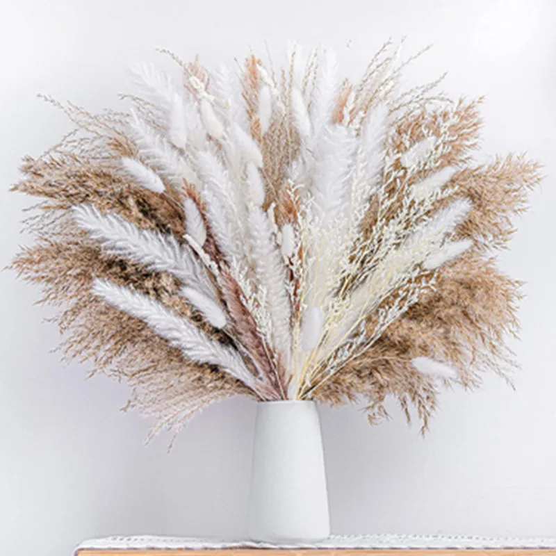 Boho Home Decor Pompous Grass 80Pcs Natural Dried Fluffy Pampas Grass Bouquet Set Large Reed Bunny Tail Wheat Stalk Decorative
Boho Home Decor Pompous Grass 80Pcs Natural Dried Fluffy Pampas Grass Bouquet Set Large Reed Bunny Tail Wheat Stalk Decorative