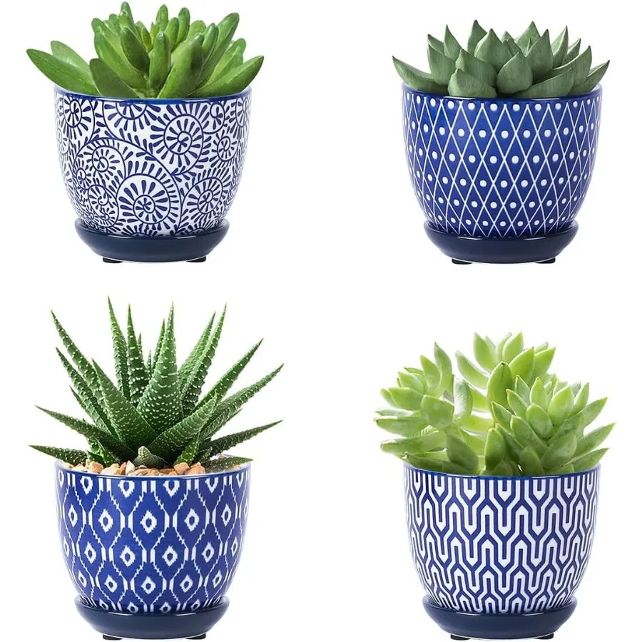 Ceramic Succulent Pots with Drainage Holes Small Flower Pots 3.5 Inch Plant Pots for Indoor Plants with Saucers Cactus Succulen
Ceramic Succulent Pots with Drainage Holes Small Flower Pots 3.5 Inch Plant Pots for Indoor Plants with Saucers Cactus Succulen