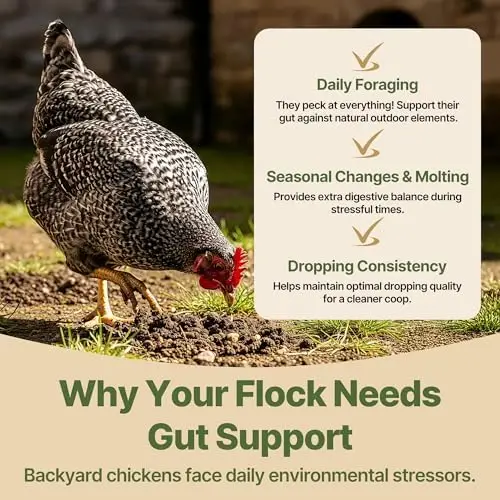 Natural Chicken Dewormx – Herbal Gut Support for Hens & Flocks – Chili-Garlic Blend with Pumpkin Seed & Wormwood
Natural Chicken Dewormx – Herbal Gut Support for Hens & Flocks – Chili-Garlic Blend with Pumpkin Seed & Wormwood