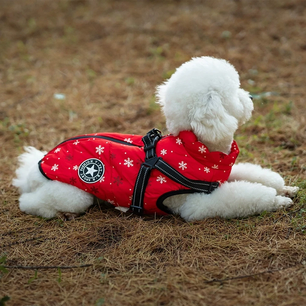 Dog Winter Coat with Harness, 3 in 1 Waterproof Warm Winter Jacket for Dogs, Puppy Harness Built in for Small Medium Dogs/Cats
Dog Winter Coat with Harness, 3 in 1 Waterproof Warm Winter Jacket for Dogs, Puppy Harness Built in for Small Medium Dogs/Cats