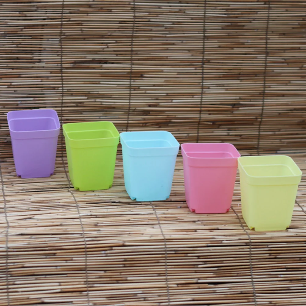 10 Pcs Mini Plastic Vases Square Nursery Pots for Indoor Plants Succulent Planters Blue Color Small Flower Pot Decor
10 Pcs Mini Plastic Vases Square Nursery Pots for Indoor Plants Succulent Planters Blue Color Small Flower Pot Decor