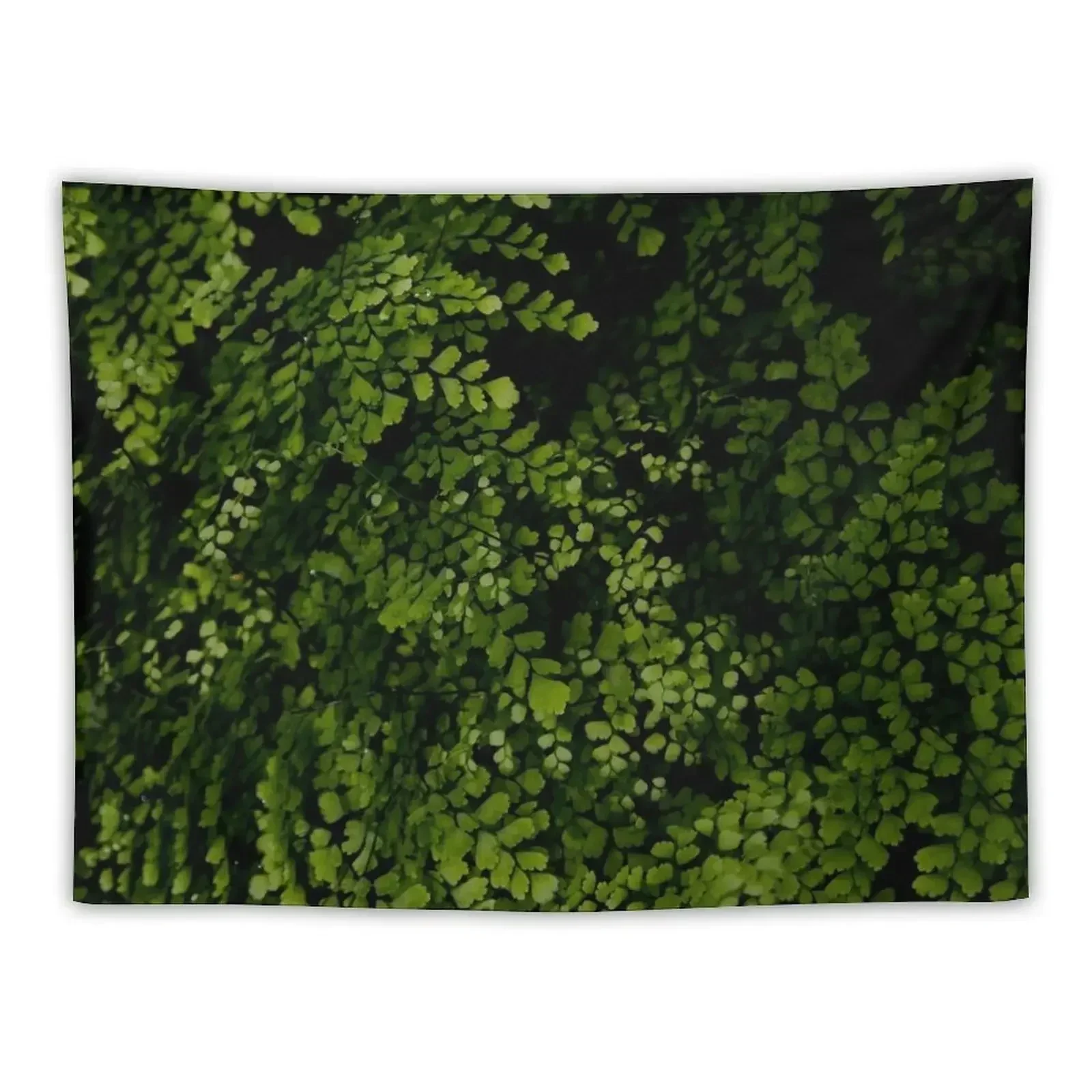 Small leaves. Tapestry Bedrooms Decor Home Decorating Room Decoration Accessories Wallpaper Tapestry
Small leaves. Tapestry Bedrooms Decor Home Decorating Room Decoration Accessories Wallpaper Tapestry