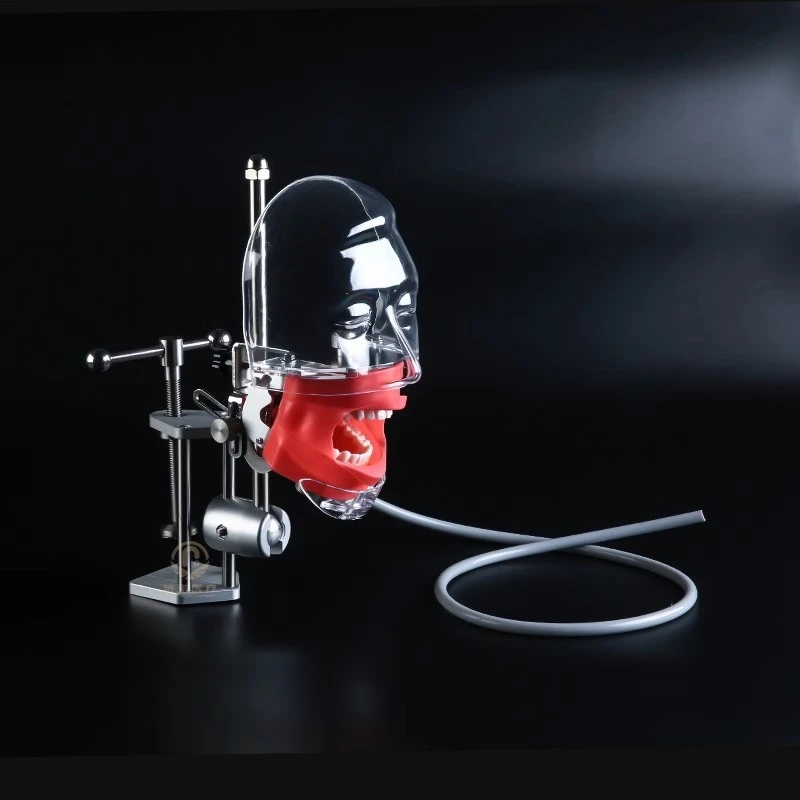 simulation practice head mold tooth model resin tooth adjustable disassembly oral dentistry teaching tooth preparation model
simulation practice head mold tooth model resin tooth adjustable disassembly oral dentistry teaching tooth preparation model