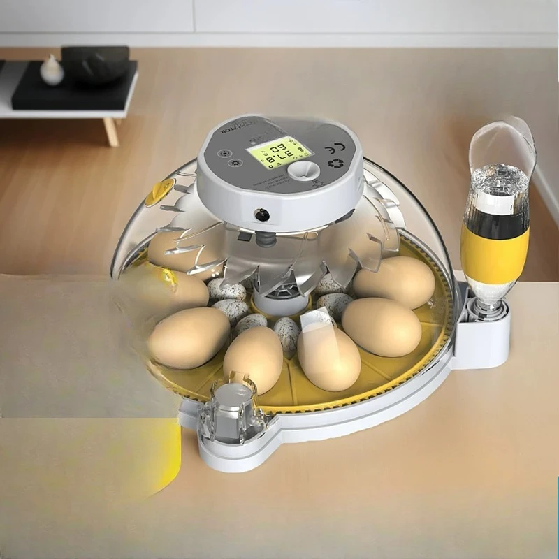 High-end household small incubator, small flying butterfly egg incubator, egg incubator, pigeon rutin chicken incubator
High-end household small incubator, small flying butterfly egg incubator, egg incubator, pigeon rutin chicken incubator