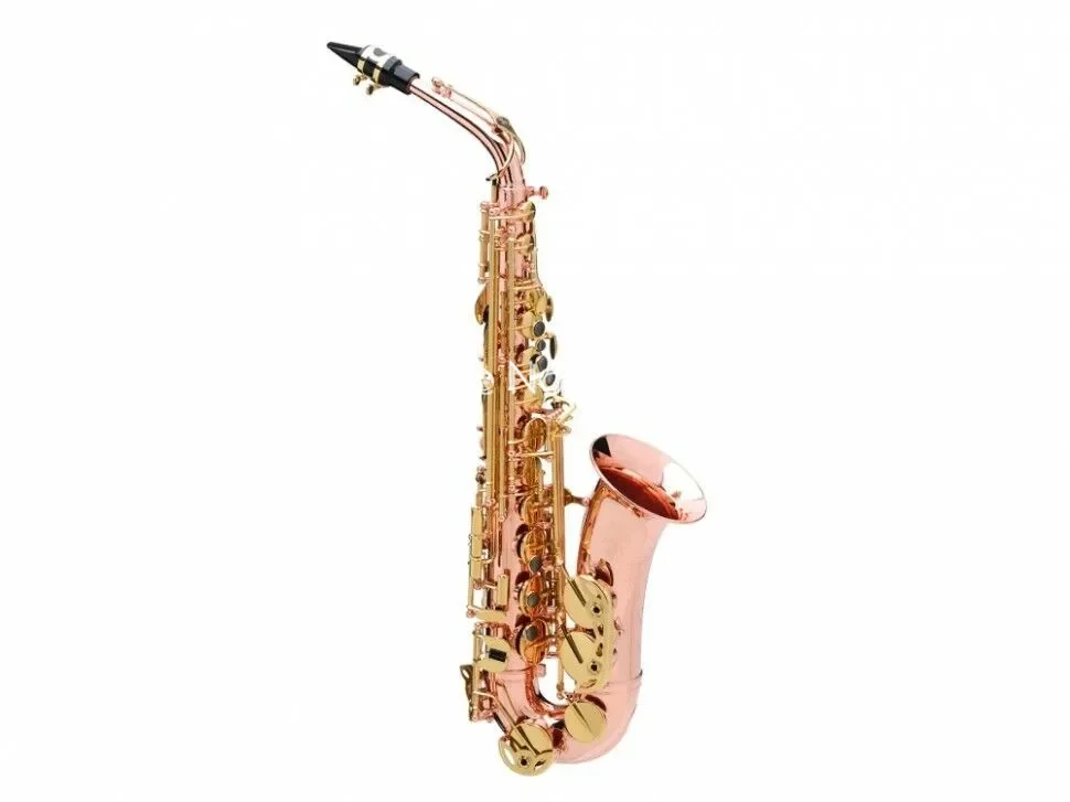 Hot Brand Buffet Crampon Alto Saxophone Eb Tune Red Brass Professional musical instruments With mouthpiece gloves Accessories
Hot Brand Buffet Crampon Alto Saxophone Eb Tune Red Brass Professional musical instruments With mouthpiece gloves Accessories