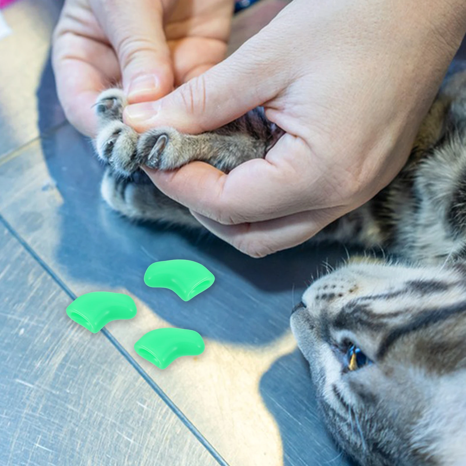 20pcs Cat for Furniture Safety Covering Protective Cute Pet Accessories Cat Nail Scratch Tips Dog TPR Material
20pcs Cat for Furniture Safety Covering Protective Cute Pet Accessories Cat Nail Scratch Tips Dog TPR Material