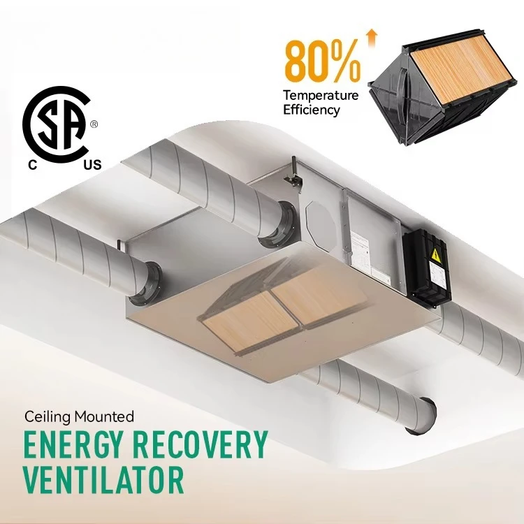 Fresh Air Ventilation ERV For Home And Commercial Use With Smart Recuperation Balanced Ventilation And Air Purification System
Fresh Air Ventilation ERV For Home And Commercial Use With Smart Recuperation Balanced Ventilation And Air Purification System