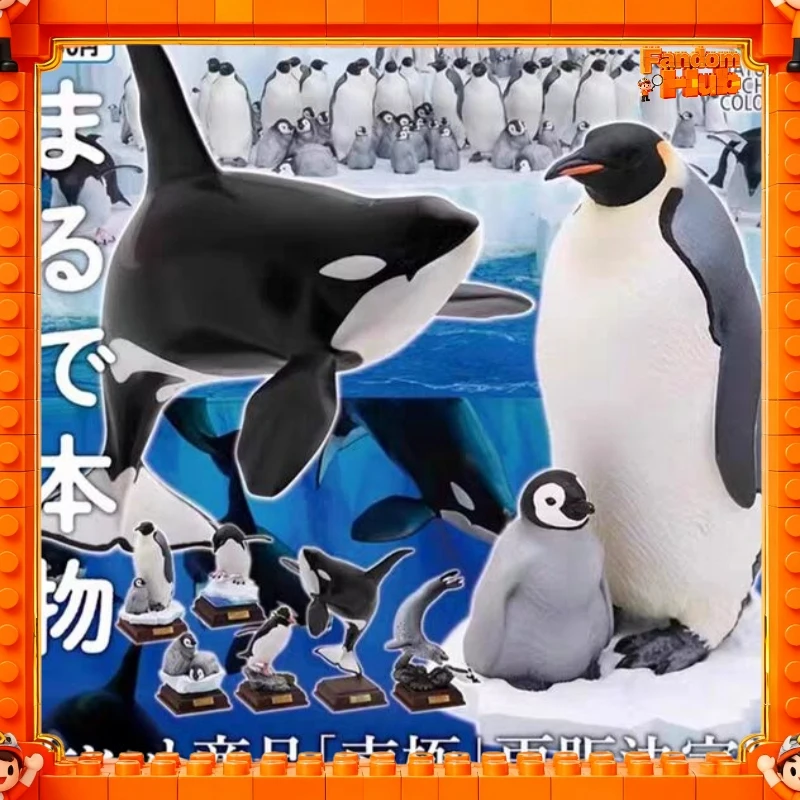 Ikimon Gp Special Edition Adelie Penguin Micro Ocean Animal Figurine Desktop Decor Model Toy For Collectors
Ikimon Gp Special Edition Adelie Penguin Micro Ocean Animal Figurine Desktop Decor Model Toy For Collectors