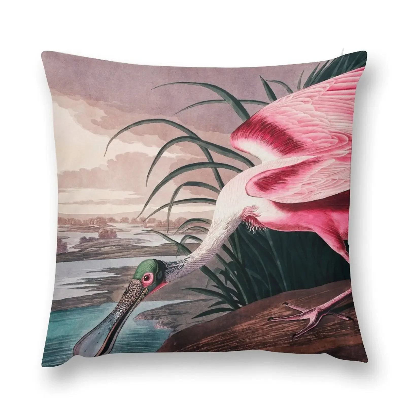 Bird of America Bird, bird lover, america, beautiful Public domain painting by John James Audubon Throw Pillow
Bird of America Bird, bird lover, america, beautiful Public domain painting by John James Audubon Throw Pillow