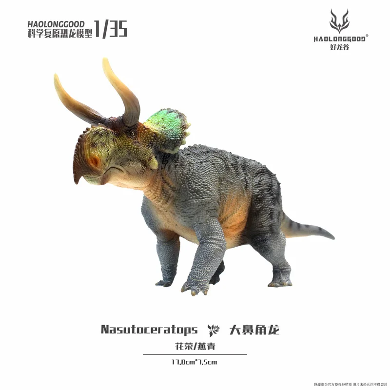NW In stock Haolong good Big nosed ceratopsian 1:35 dinosaur model boy gift figurine
NW In stock Haolong good Big nosed ceratopsian 1:35 dinosaur model boy gift figurine