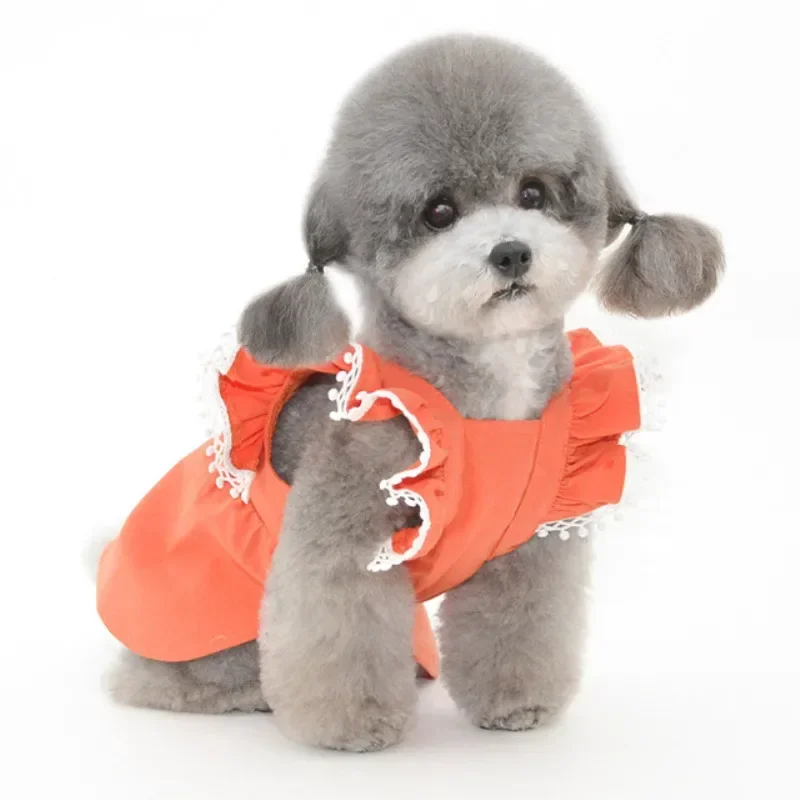 Summer Pet Dress Dog Cat Puppy Dresses Small Dog Clothes Yorkshire Terrier Pomeranian Shih Tzu Bichon Poodle Schnauzer Clothing
Summer Pet Dress Dog Cat Puppy Dresses Small Dog Clothes Yorkshire Terrier Pomeranian Shih Tzu Bichon Poodle Schnauzer Clothing