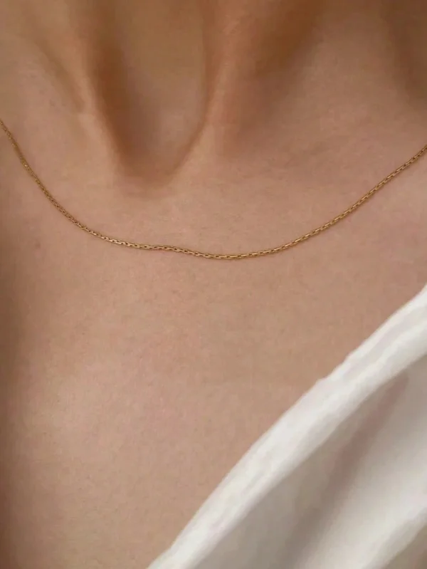 1pc Gold/Silver Minimalist Thin Chain Necklace, Clavicle Chain, Women's Party Jewelry
1pc Gold/Silver Minimalist Thin Chain Necklace, Clavicle Chain, Women's Party Jewelry