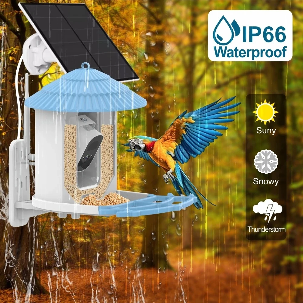 Wireless Outdoor APP Control Smart Bird Feeder with Camer Batteries Solar Powered Color Night Vision AI Identify Bird Species
Wireless Outdoor APP Control Smart Bird Feeder with Camer Batteries Solar Powered Color Night Vision AI Identify Bird Species